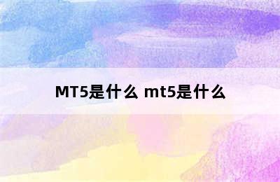 MT5是什么 mt5是什么